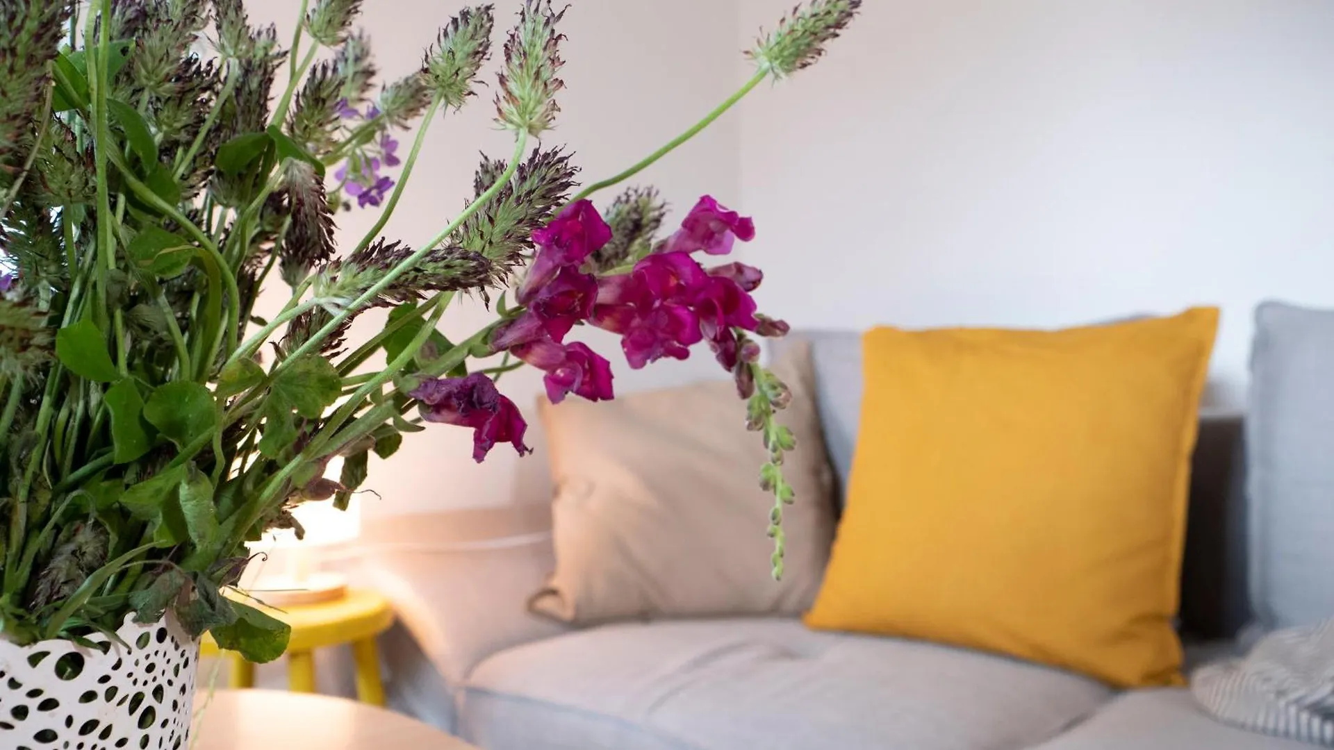 *** Affittacamere Apartment And Rooms Vilma Fažana Croazia